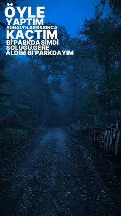 Bunaltılar kaçtım