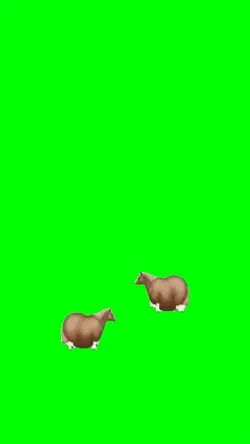 Spinning horse