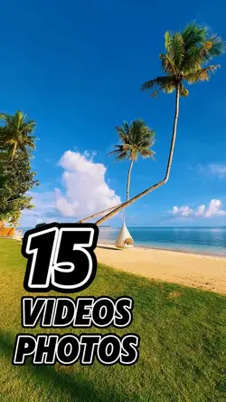 15 video or photo