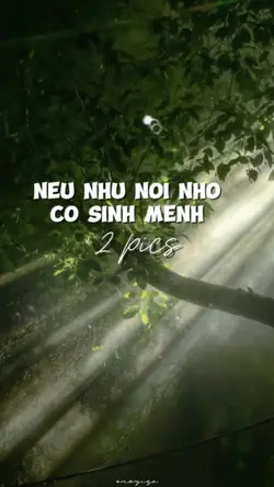 Nhạc Trung nhẹ nhàng