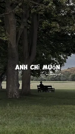 Mẫu 1 ảnh lyric