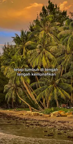 mana sahabat mana