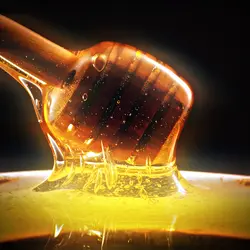 Honey Edit v2 🍯 