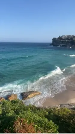 straya 🦘🇦🇺