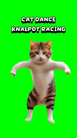 cat knalpot dance