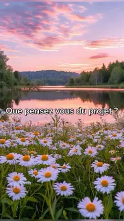 Collecte 