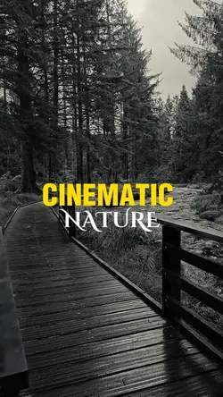 Cinematic Nature