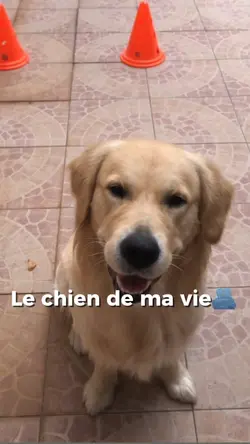 Fin du chapitre🫂