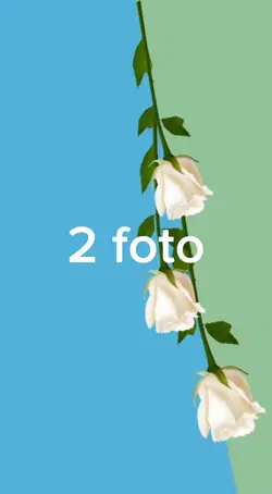chromakey  2 foto 