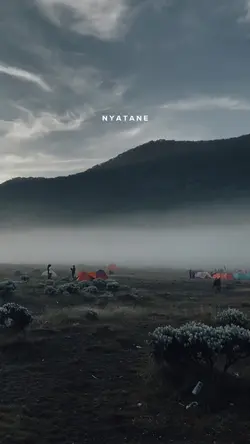 Nyatane 