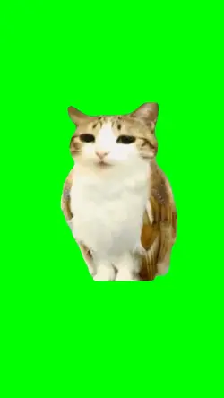 CAT SINGING