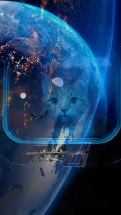 SPACE 
