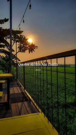 Quotes 