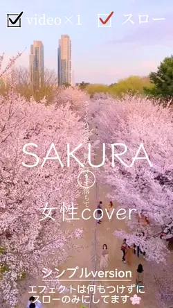 SAKURA①/シンプルversion