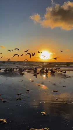 Sunset Time