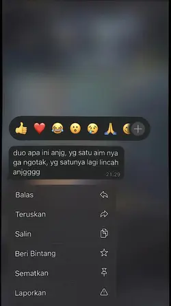 duo apa ini anjg v2