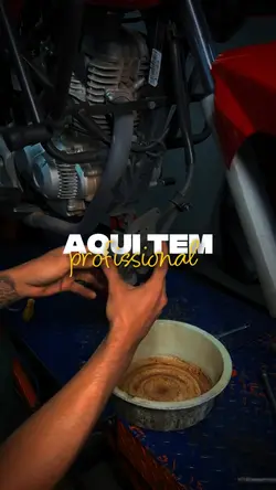 PROFISSIONAL