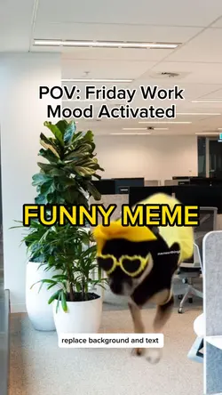 Friday Mood Meme
