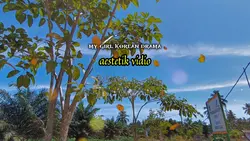 aestetik vidio HD