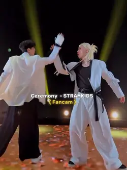 FANCAM