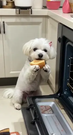 パクッ🥐…内緒だよ😁✌️