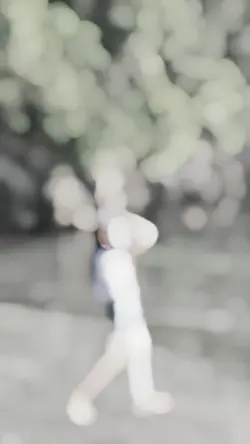 slowmo india 1video