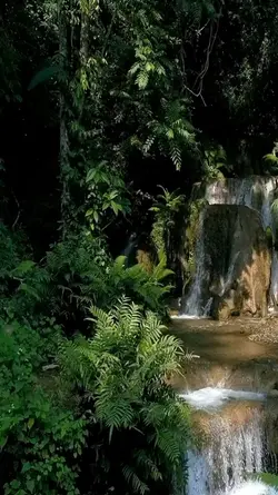 nature