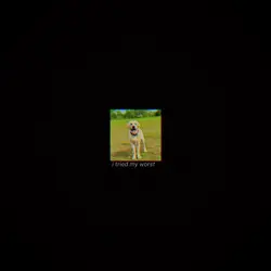 aaa