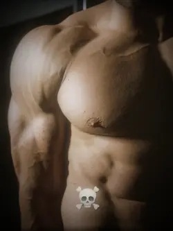 GYM TEMPLATE