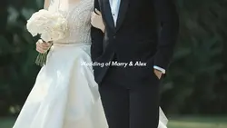 Wedding Highlight