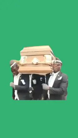 coffin dance