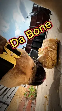 Da Bone