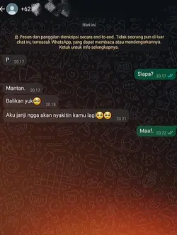 mantan balikan yuk