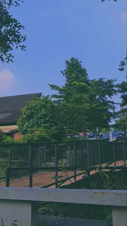 Lofi Aesthetic