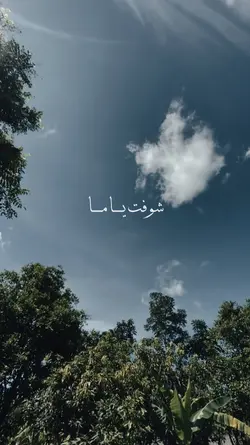arabicsong 