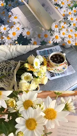 Spring Collage