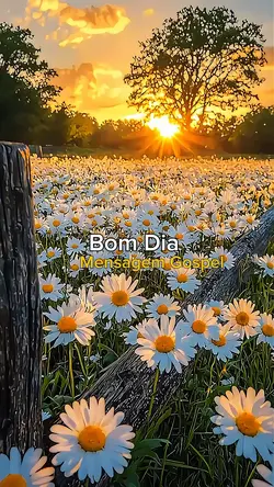 Bom Dia Abençoado 
