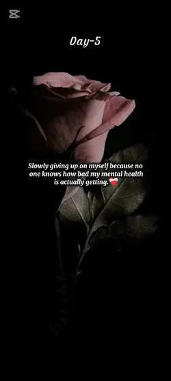 Slowly giving up on 