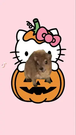 cute