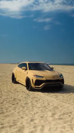 Car / Model
