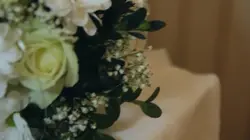 Wedding vlog hd