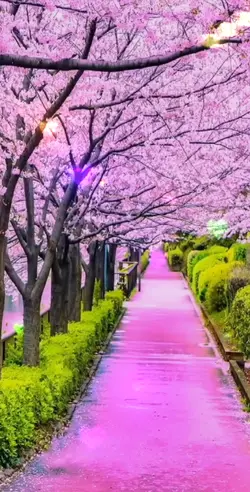 @thu hiền5999