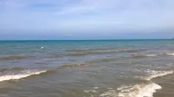 Relax