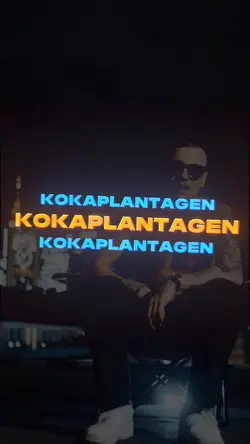 KAVO 100 BARS