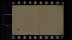 roll film