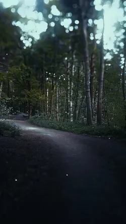 Nature ASMR