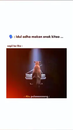 lebaran sapi be like