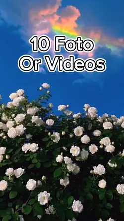 10 Foto Slides