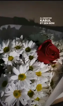 Ne çok yakışır