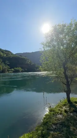 yeni şablon 